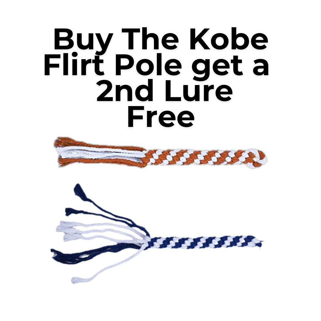 The Kobe Flirt Pole ā A Fast Fun Way to Physically and Mentally Tire Out Your Dog