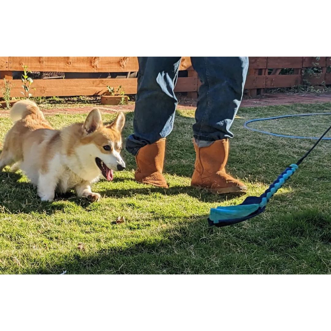 The Kobe Flirt Pole ā A Fast Fun Way to Physically and Mentally Tire Out Your Dog