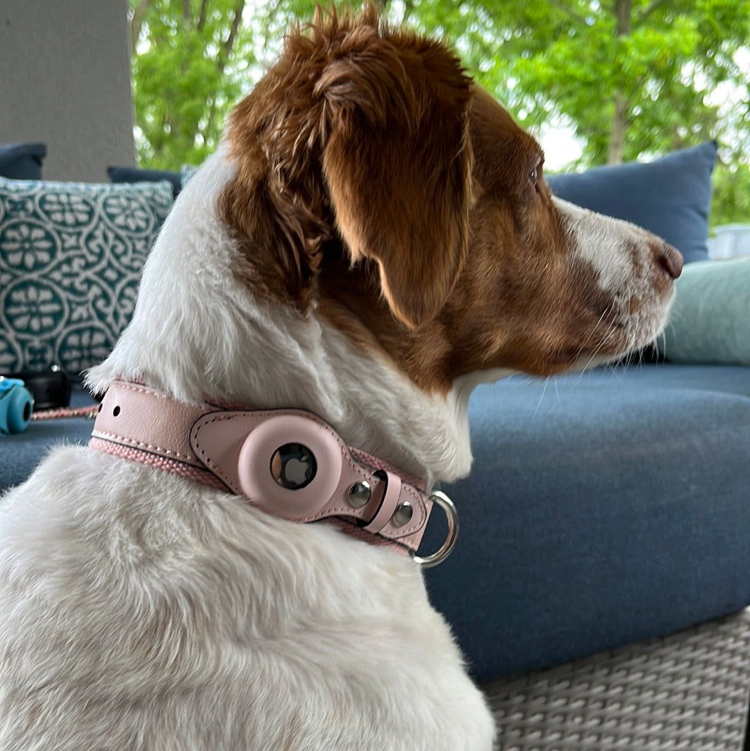 Revolutionize Your Dog’s Safety with The Buddy Air Tag Collar!