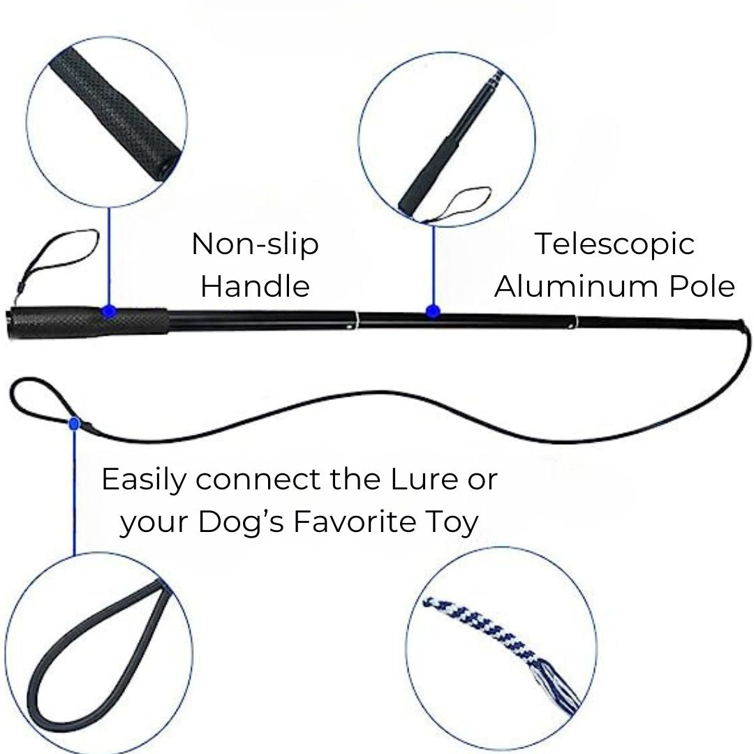 The Kobe Flirt Pole Delivers Thrills and Excitement!