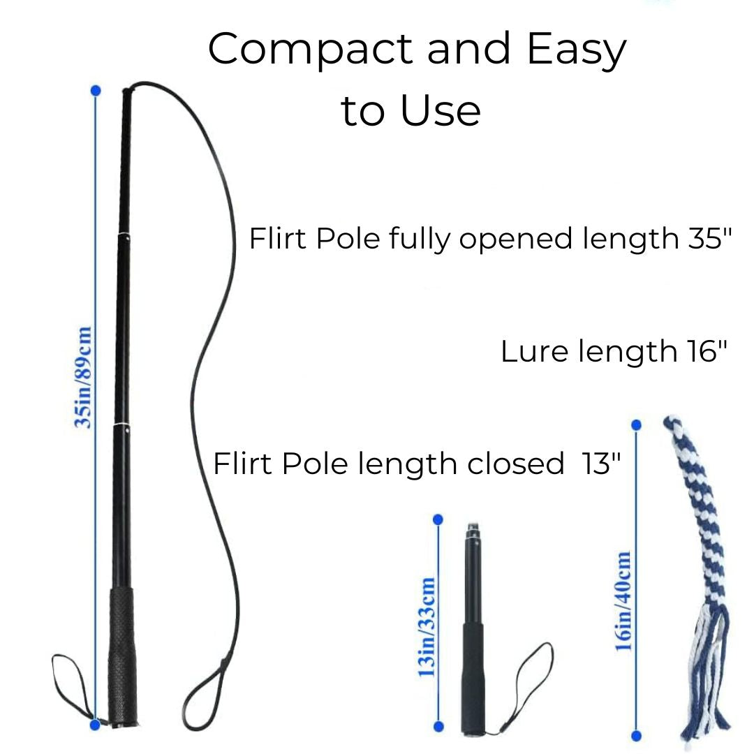 The Kobe Flirt Pole Delivers Thrills and Excitement!