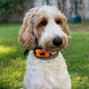 The Charlie Anti-Bark Vibration Collar will Safely Control your Dog's Barking