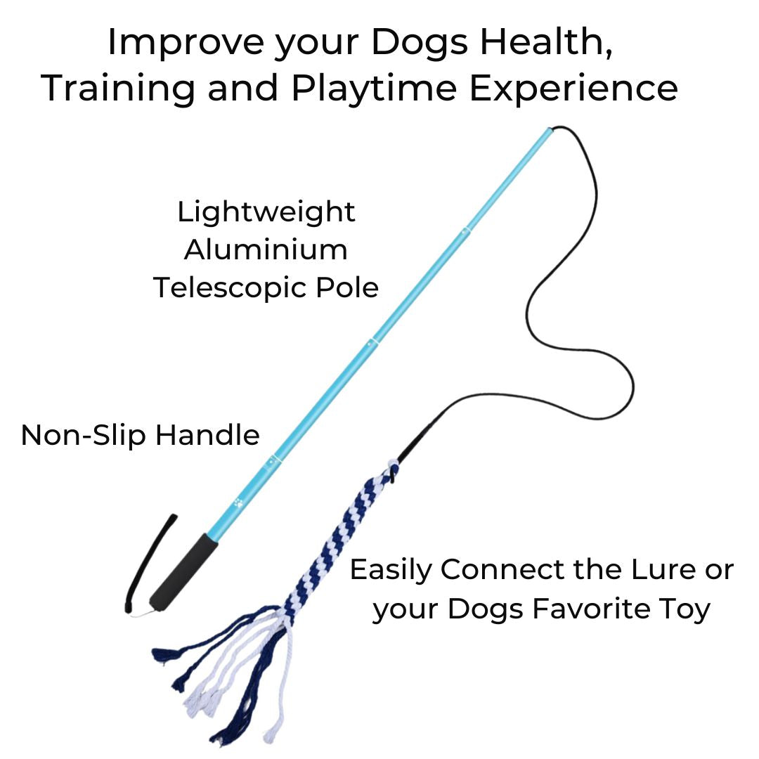 Level Up Your Dog's Happiness in 10 Minutes with Our Flirt Pole