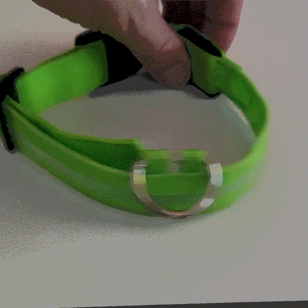 Say Goodbye to Dark Walks and Hello to Safety with The Daisy LED Dog Collar!