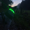 Say Goodbye to Dark Walks and Hello to Safety with The Daisy LED Dog Collar!