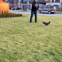 Kobe Gif.gif__PID:b7d80907-0511-4aa1-8671-57dbc89fb0d5