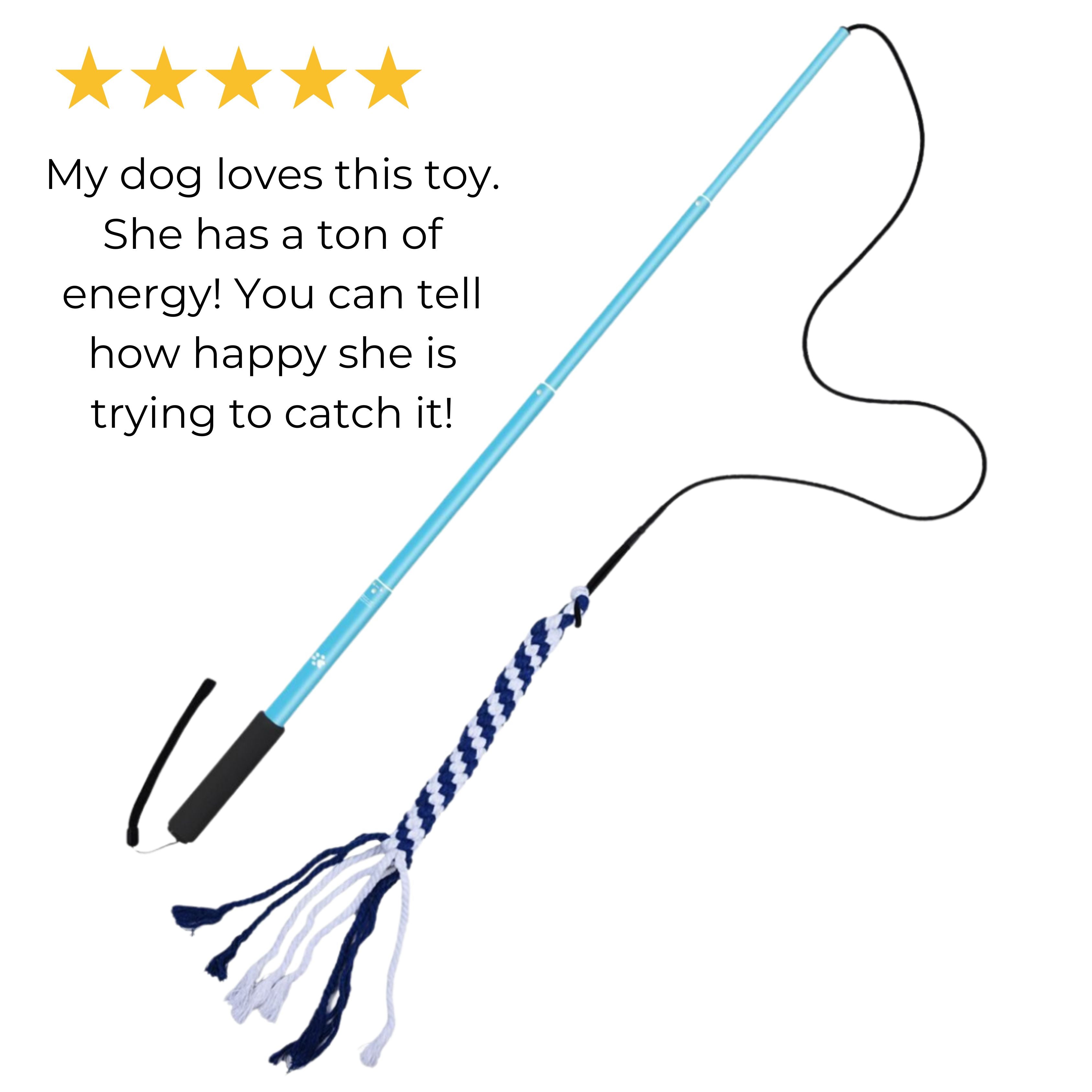 The Kobe Flirt Pole Delivers Thrills and Excitement!