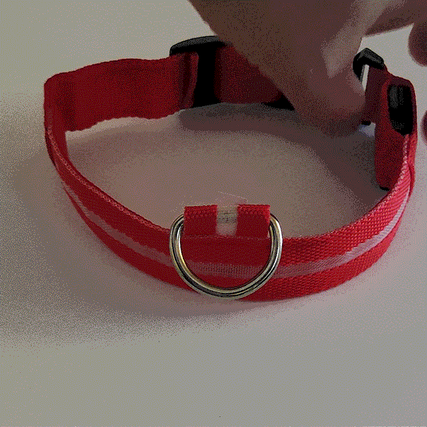 Say Goodbye to Dark Walks and Hello to Safety with The Daisy LED Dog Collar!