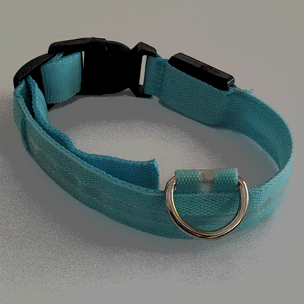 Say Goodbye to Dark Walks and Hello to Safety with The Daisy LED Dog Collar!