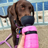 The Kana Dog Water Bottle |  Convenience On-The-Go
